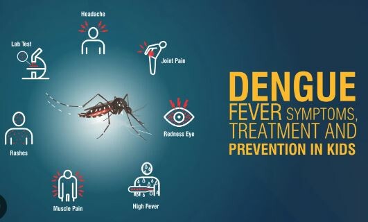 As dengue fever strikes Khartoum, three people die.